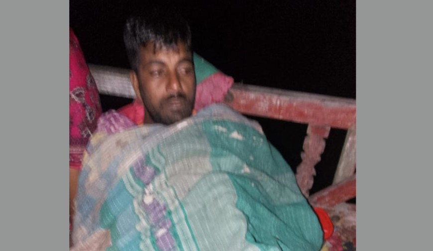 সুন্দরবনে বুনো শুকরের আক্রমণে জেলে আহত