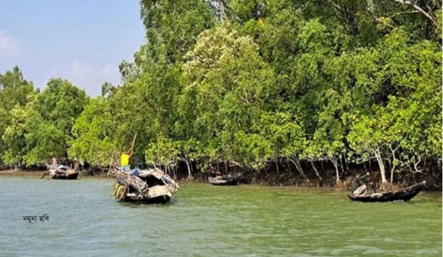 সুন্দরবনে প্রাণ হারালেন জেলে