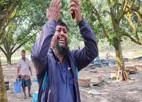 কলারোয়া