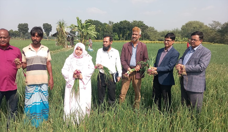 দৌলতপুরে উচ্চমূল্য ও নিরাপদ ফসল উৎপাদনে কৃষকের আগ্রহ বাড়ছে