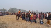 মাগুরায় ঘোড়দৌড় ও আনন্দমেলায় হাজারো মানুষের ভিড়