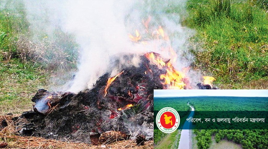 বর্জ্য পোড়ানোর ছবি পাঠালেই পুরস্কার দেবে সরকার