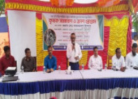 বাঘারপাড়া