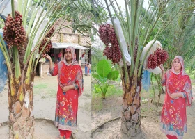 দক্ষিণ-পশ্চিম