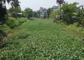 দক্ষিণ-পশ্চিম