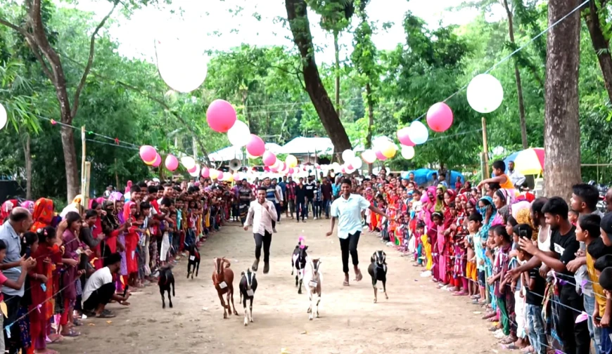 ছাগলের দৌড় দেখতে হাজারো মানুষের ভিড়