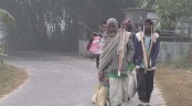 চুয়াডাঙ্গা সদর