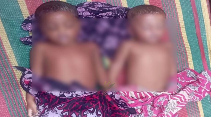 কলারোয়ায় পানিতে ডুবে ভাই-বোনের মৃত্যু