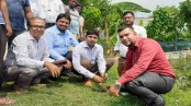 বজ্রপাত প্রতিরোধে যশোরে স্কয়ারের তালগাছের চারা রোপণ