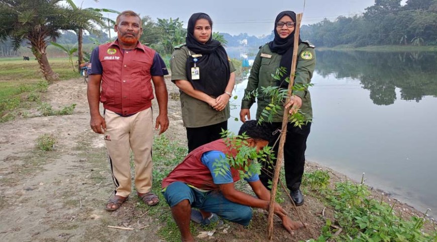 ঝিকরগাছায় আনসার-ভিডিপির উদ্যোগে বৃক্ষরোপণ