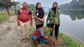 ঝিকরগাছায় আনসার-ভিডিপির উদ্যোগে বৃক্ষরোপণ