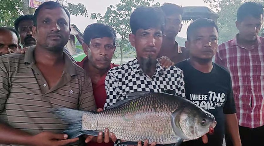 এক কাতলা ধরে পুরস্কার পেলেন দুই লাখ টাকা