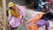 শৈলকুপায় ছোট ভাইয়ের লাঠির আঘাতে বড় ভাই নিহত