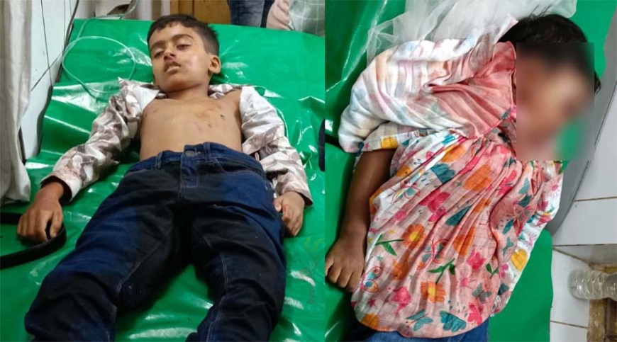 মণ্ডপে যাওয়ার পথে ক্যান্ট কলেজশিক্ষকের দুই সন্তান দুর্ঘটনায় নিহত