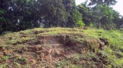 তিন সভ্যতার সাক্ষী দমদম পীরের ঢিবি