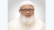 প্রবাসীদের স্বার্থ রক্ষার সরকার ব্যর্থ হয়েছে: ড. শফিকুর রহমান