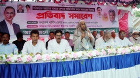 গণতান্ত্রিক সরকারের পতন ঘটানো সহজ নয়: নার্গিস বেগম