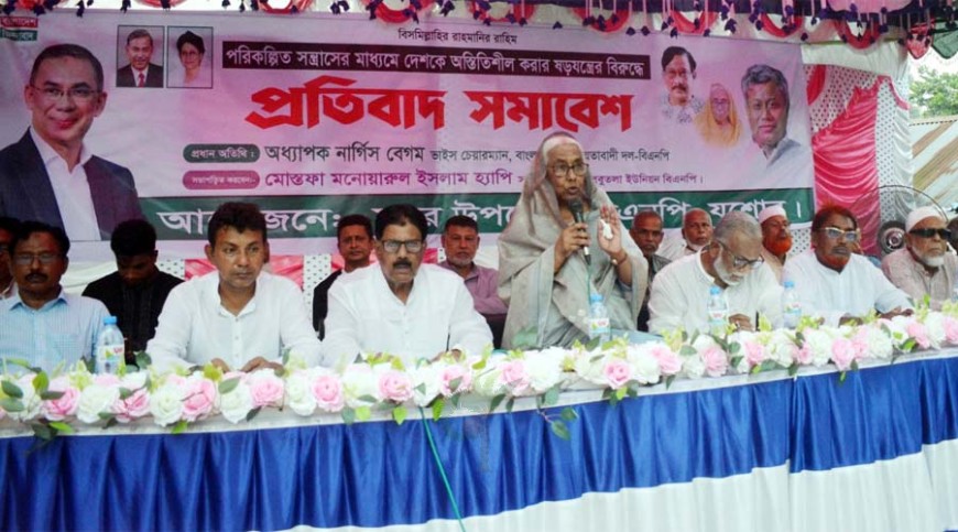 গণতান্ত্রিক সরকারের পতন ঘটানো সহজ নয়: নার্গিস বেগম