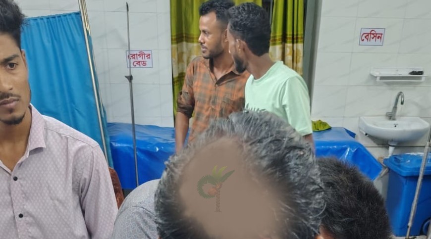 বিএনপিনেতার নেতৃত্বে হামলার চেষ্টা, সাতজন হাসপাতালে