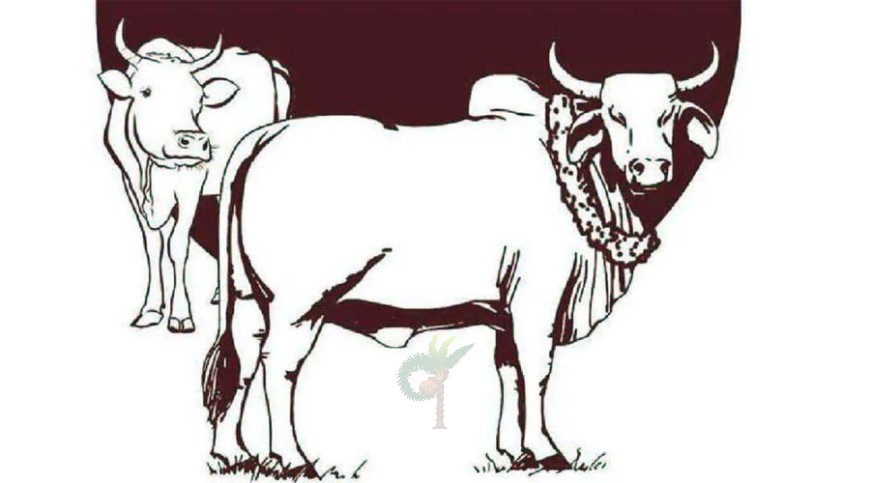 গরুর স্ট্যাটাস তো উপরেই!