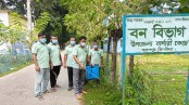মহেশপুরে সেবা আদর্শ ফাউন্ডেশনের উদ্যোগে ডেঙ্গু মশা নিধন কার্যক্রম