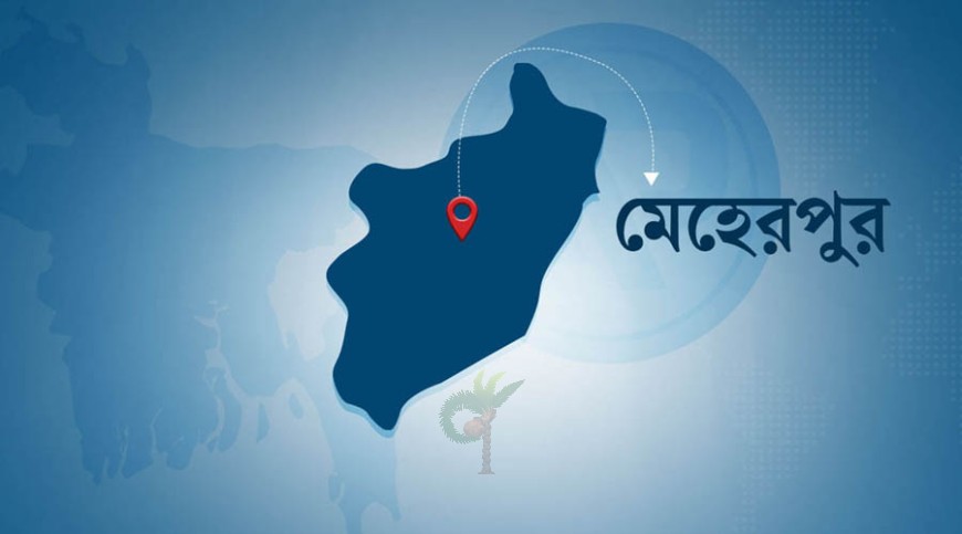মেহেরপুরে কিশোর গ্যাংবিরোধী অভিযানে আটক ৪৯