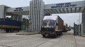 আট দিন পর বেনাপোলে আমদানি-রপ্তানি শুরু, সার্ভার জটিলতায় ভোগান্তি