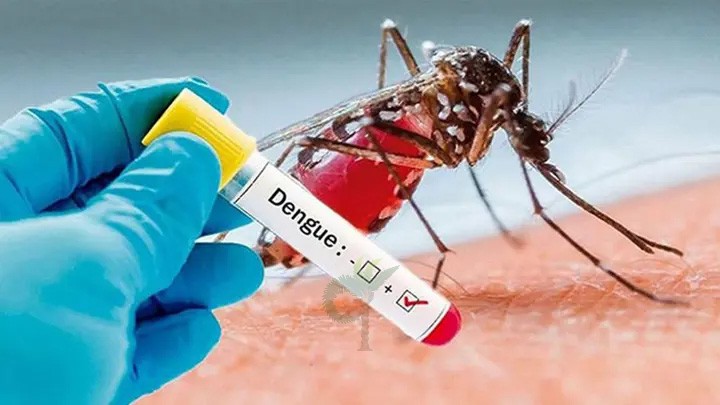 ডেঙ্গুতে একদিনে পাঁচজনের মৃত্যু, হাসপাতালে ভর্তি ২২১৮