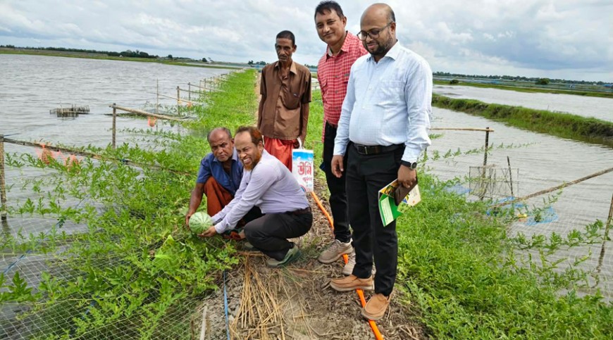 লবণাক্ত উপকূলে অসময়ে তরমুজ চাষে অভাবনীয় সাফল্য