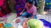 শালিখায় বড় ভাইয়ের লাঠির আঘাতে ছোট ভাইয়ের মৃত্যু