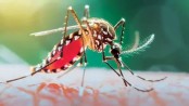 ডেঙ্গুতে সারাদেশে আরো ১১ জনের মৃত্যু, হাসপাতালে ভর্তি ২০৭১