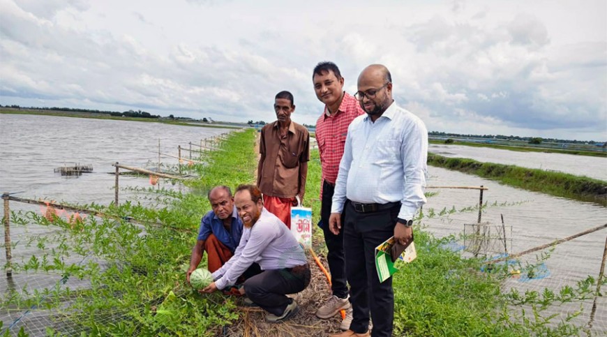 উপকূলে লবণাক্ততার চ্যালেঞ্জ: কৃষিতে নতুন সম্ভাবনা আনতে প্রয়োজন সমন্বিত উদ্যোগ