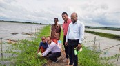 উপকূলে লবণাক্ততার চ্যালেঞ্জ: কৃষিতে নতুন সম্ভাবনা আনতে প্রয়োজন সমন্বিত উদ্যোগ