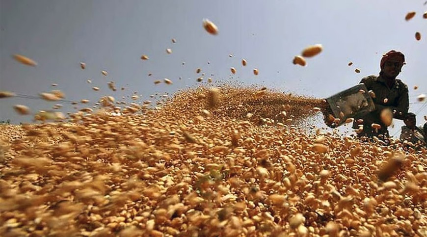 গম এলনএনজি এমওপি আমদানি করবে সরকার