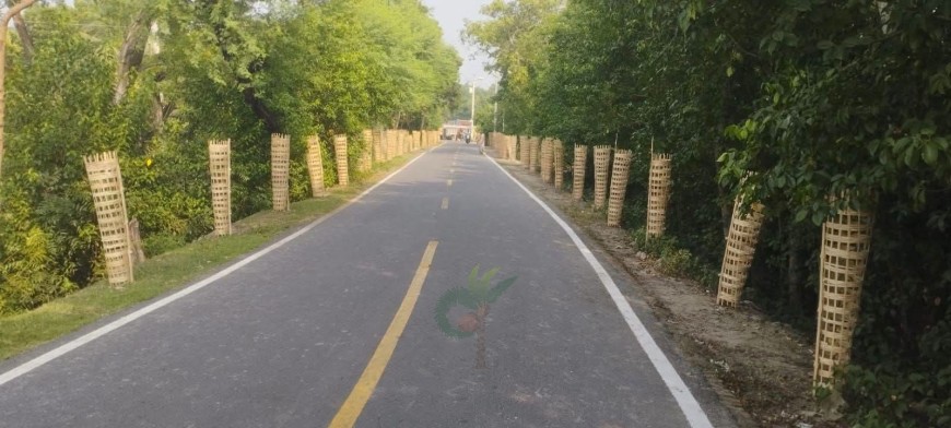 পাইকগাছায় নতুন রাস্তার পাশে বৃক্ষরোপণ