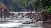 মধুমতীর ভাঙনে সর্বস্বান্ত শতাধিক পরিবার