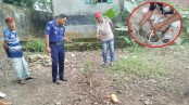 যশোরে ককটেলসদৃশ দুটি বস্তু উদ্ধার