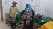 লোহাগড়ায় নিয়ন্ত্রণ হারানো ইজিবাইক উল্টে যাত্রী নিহত
