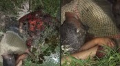কেশবপুরের পল্লীতে নর-নারীর অর্ধগলিত লাশ