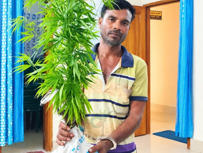 কয়রায় গাঁজা গাছসহ মাছচাষি আটকের দাবি
