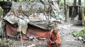 ২০ বছর ধরে পলিথিনের নিচে সত্তরোর্ধ্ব সবুরা