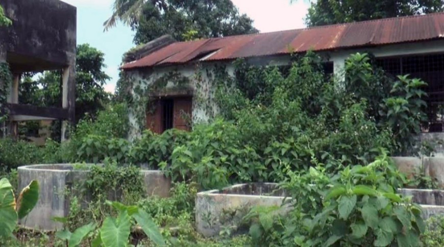বন্ধ সরকারি মৎস্য হ্যাচারি, পোনা সংকটে মেহেরপুরের চাষিরা