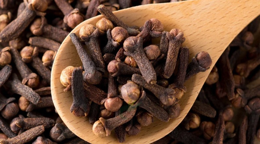 লবঙ্গের আদি নিবাস ইন্দোনেশিয়া