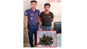 যশোর জেনারেল হাসপাতালে চোর সন্দেহে যুবক আটক, গাঁজা উদ্ধারের দাবি