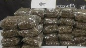 পাইকগাছায় ‘গাঁজাসহ’ দুই যুবক আটক