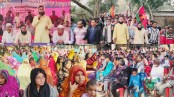 শার্শা