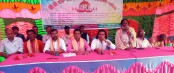 বাঘারপাড়া