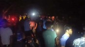জীবননগর