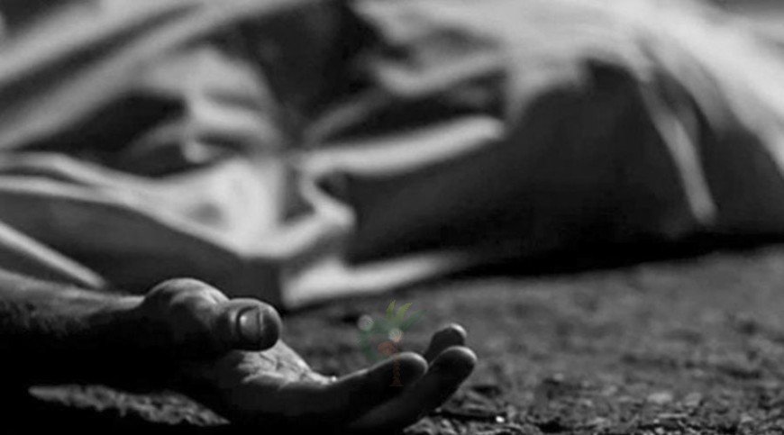 মেয়ের জন্যে হাসপাতালে খাবার নিয়ে যাওয়ার পথে প্রবাসী নিহত