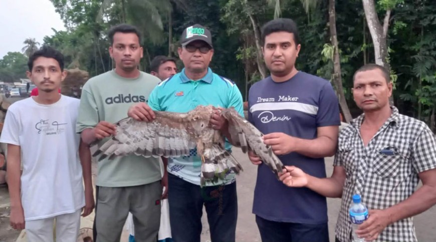 অসুস্থ ‘উদয়ী-মধুরাজ’ উদ্ধার, চিকিৎসা চলছে